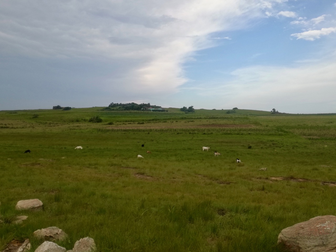 Groundbreaking Court Judgment On Mining And Community Rights GroundUp